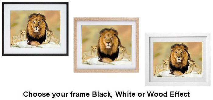 Select a Frame that will enhance your chosen print